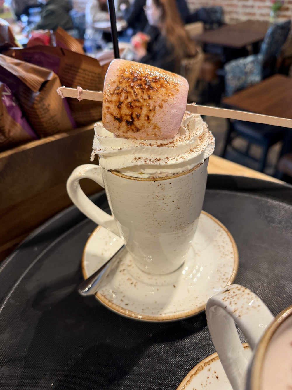 Hot chocolate topped with cream and a toasted marshmallow