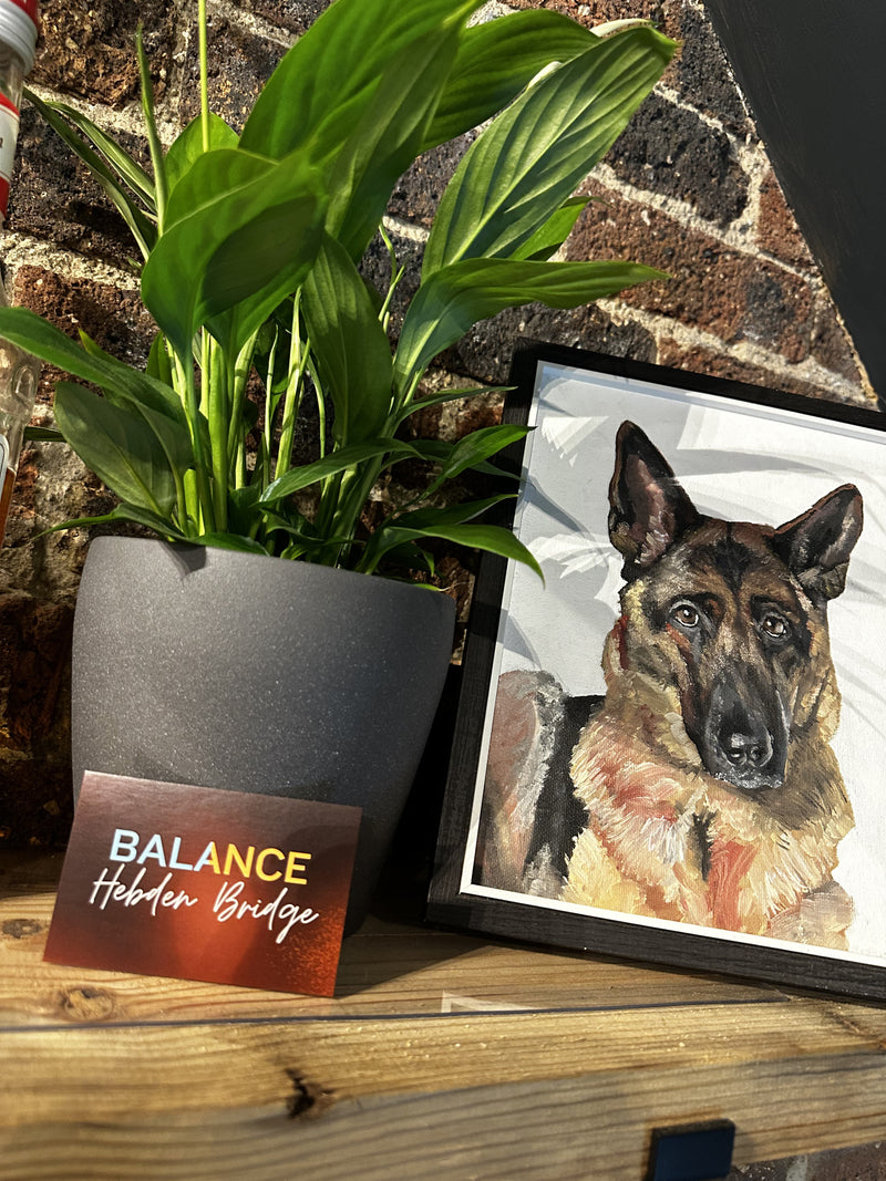 A plant and dog portrait inside BALANCE
