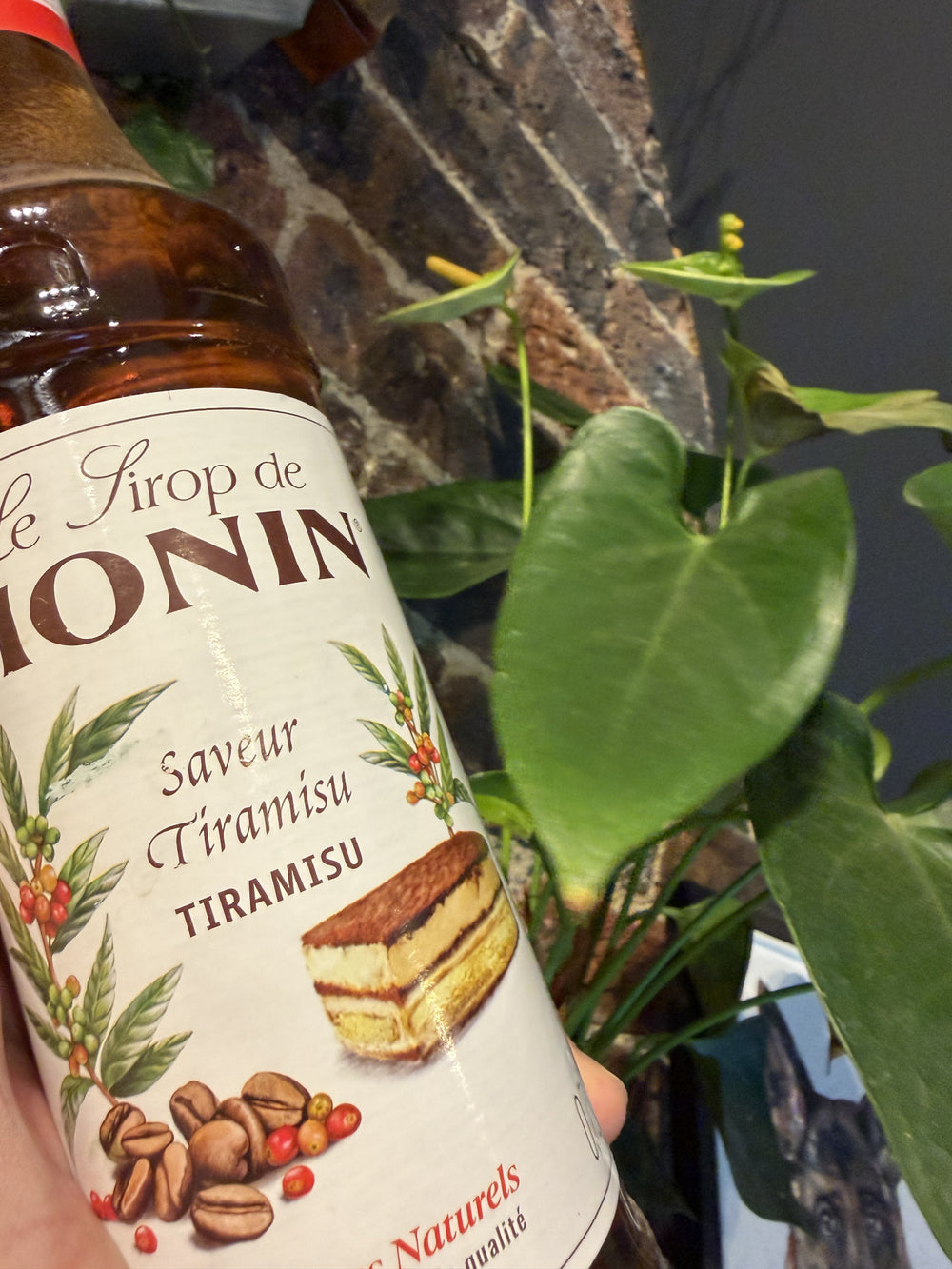 Coffee syrup and plants at BALANCE